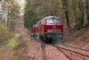 25.11.2022 in Rosenheimer Lay