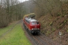 23.03.2023 in Scheuerfeld