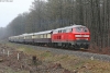 08.04.2023 in Marzhausen