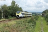 29.08.2023 in Rotenhain